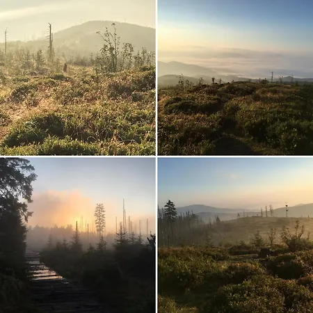 Gosciejowka Na Skraju Lasu Chalet Wisla