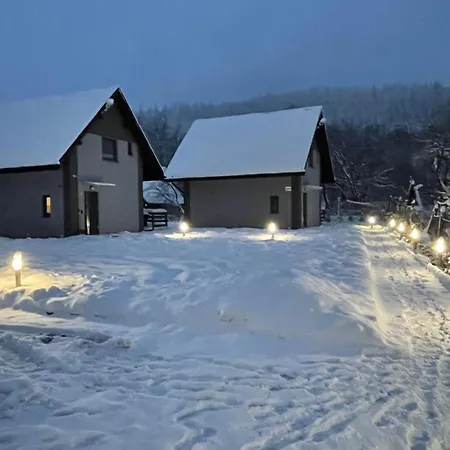 Holiday home Wislanska Dolina *