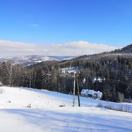 Villa Wasza Dom Na Wylacznosc Wisla