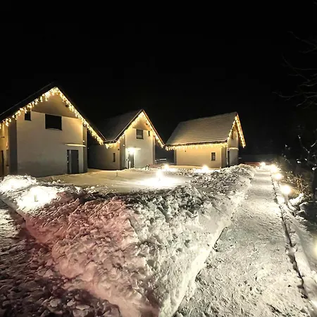 Wislanska Dolina Holiday home *
