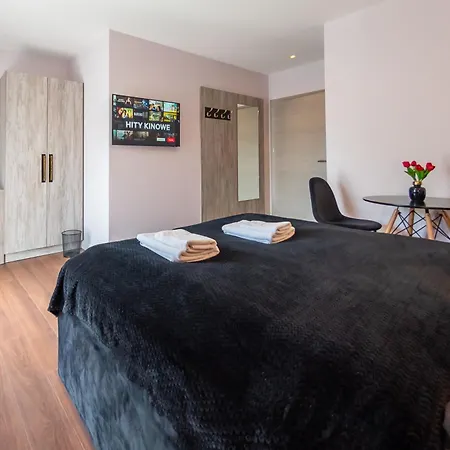 Willowa 21 Apartment Wisla