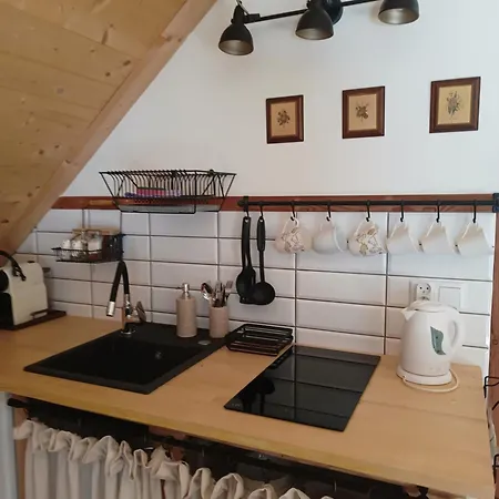 Kocia Gorka Apartment