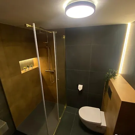 Wielka Niedzwiedzica Apartment *