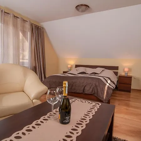 Pod Stara Skocznia Bed & Breakfast *