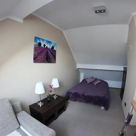 Apartament Gorski Widok - Mountain View