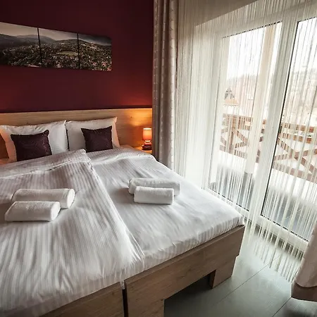 Bed & Breakfast Rezydencja Pod Ochorowiczowka