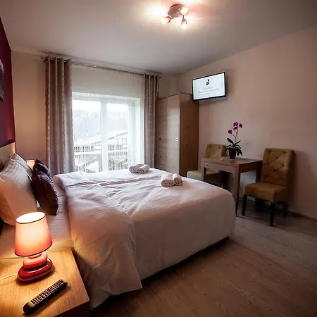 Bed & Breakfast Rezydencja Pod Ochorowiczowka