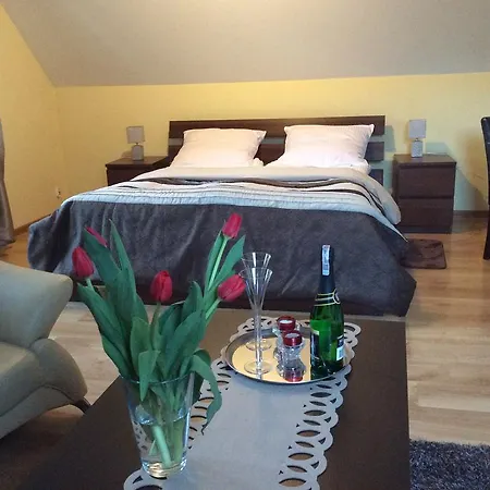 Pod Stara Skocznia