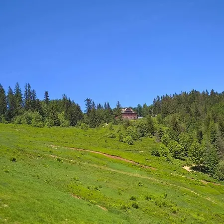 Homestay Gosciniec Zjazdowy Wisla