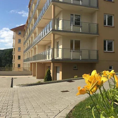 Apartment Kamienna Z Widokiem Na Gory I 2 Km Do Wyciagu Skolnity - Dream *