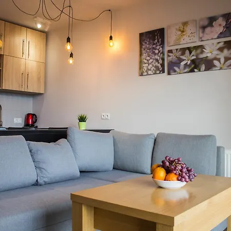 Kamienna Z Widokiem Na Gory I 2 Km Do Wyciagu Skolnity - Dream Apartment Wisla