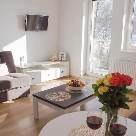 Apartment Kamienna Z Widokiem Na Gory I 2 Km Do Wyciagu Skolnity - Dream *