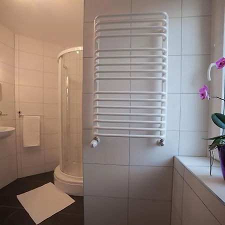 Bed & Breakfast Rezydencja Pod Ochorowiczowka 3*