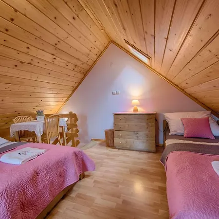 Holiday home Chata Goralska Aggeusz *