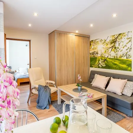 Homestay Apartament I Pokoje Goscinne U Lusi Wisla