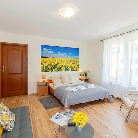 Homestay Apartament I Pokoje Goscinne U Lusi Wisla