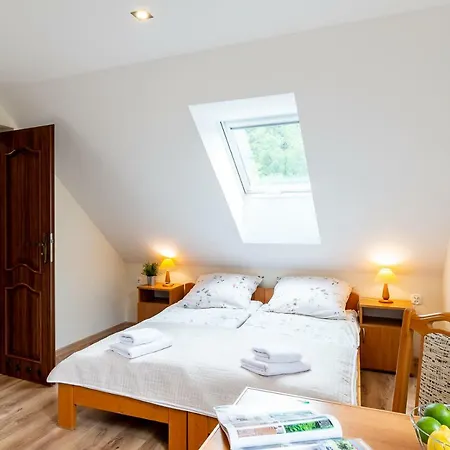 Apartament I Pokoje Goscinne U Lusi Homestay Wisla