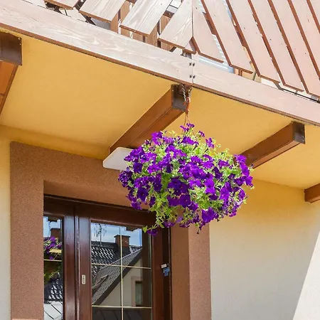 Homestay Apartament I Pokoje Goscinne U Lusi *