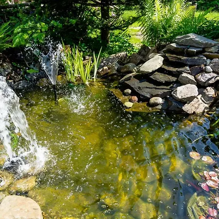 Homestay Apartament I Pokoje Goscinne U Lusi