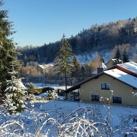 Dina * Wisla