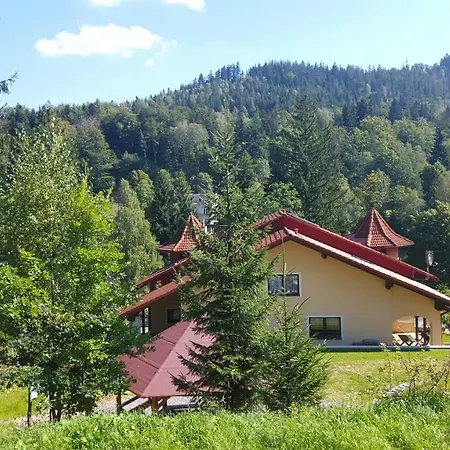 Dina