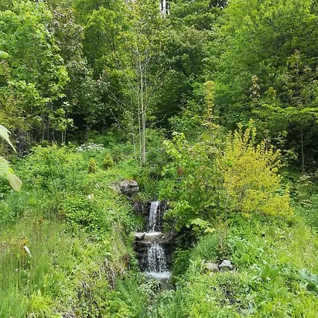 Katarzynka Homestay Wisla