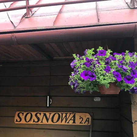 Sosnowy Zakatek *