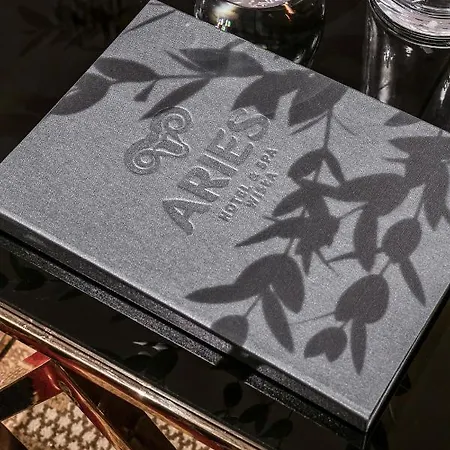 Aries & Hotel 4*
